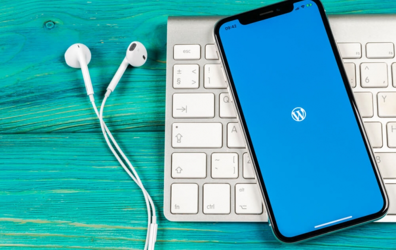 Google เปิดปลั๊กอิน สำหรับการโหลดแบบ Local ของ WordPress