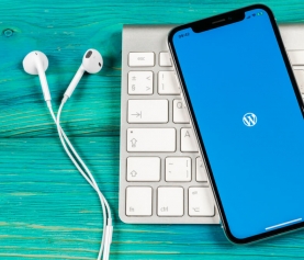 Google เปิดปลั๊กอิน สำหรับการโหลดแบบ Local ของ WordPress