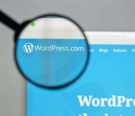 AMP WordPress Plugins ตัวไหน? ดีที่สุดเพิ่มความเร็วเว็บไซต์